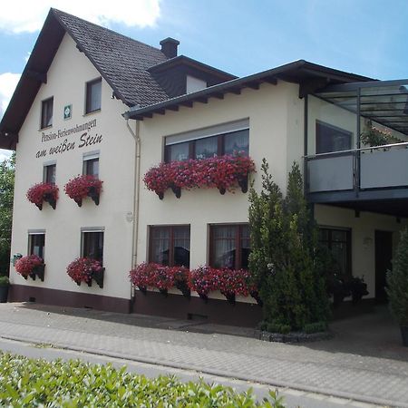 Gaestehaus "Am Weissen Stein" Cochem Bagian luar foto