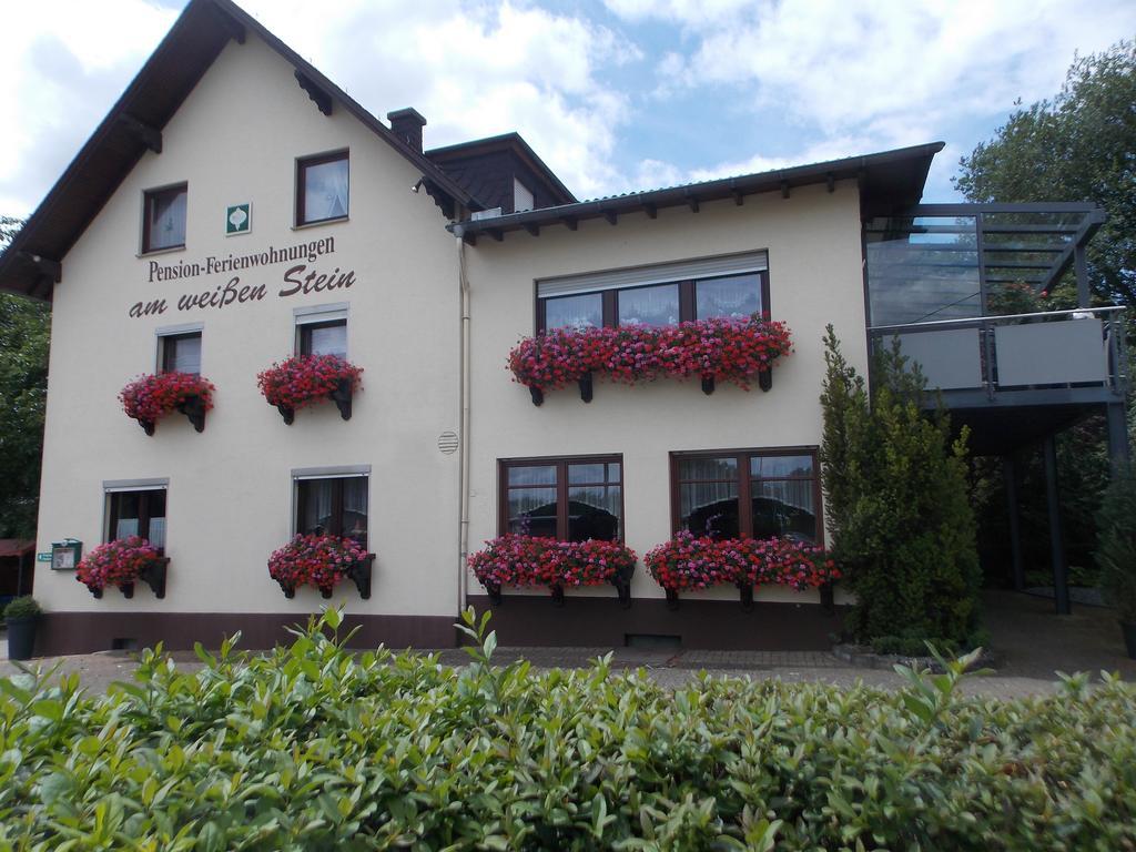 Gaestehaus "Am Weissen Stein" Cochem Bagian luar foto